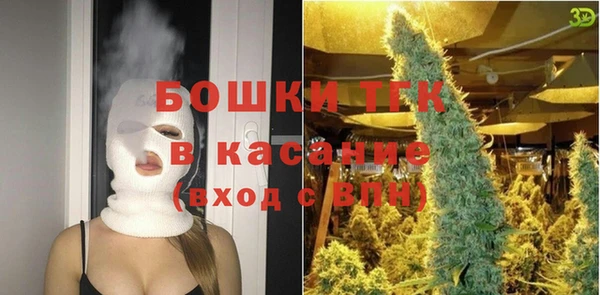 дурь Магас