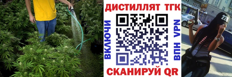 ТГК концентрат  Наволоки 