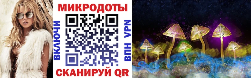 цена наркотик  Наволоки  Псилоцибиновые грибы Magic Shrooms 